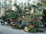 dsc02782.jpg
