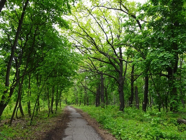 04 ноября 2017 в 12.00 территории ботанического сада ВГУ состоится закладка «Аллеи выпускников» 04 ноября 2017 в 12.00 территории ботанического сада ВГУ состоится закладка «Аллеи выпускников»