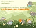 Проводится городской конкурс экологических плакатов «Слётков не обидим!» Проводится городской конкурс экологических плакатов «Слётков не обидим!»
