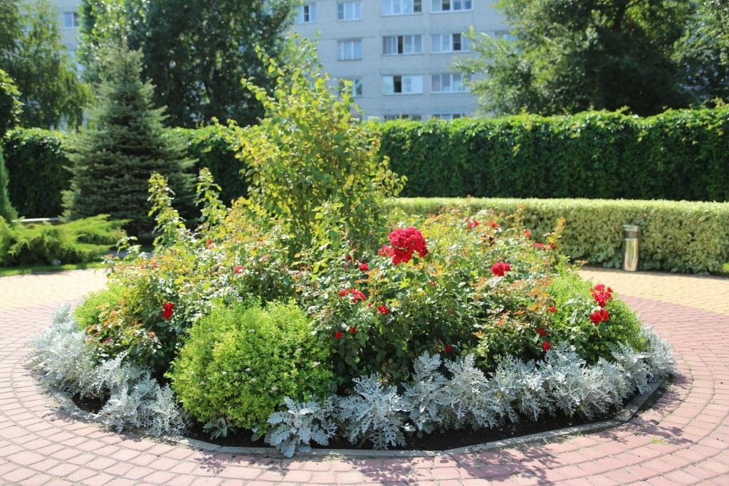 Состоялось заседание комиссии городского экологического конкурса «Город в цветах»