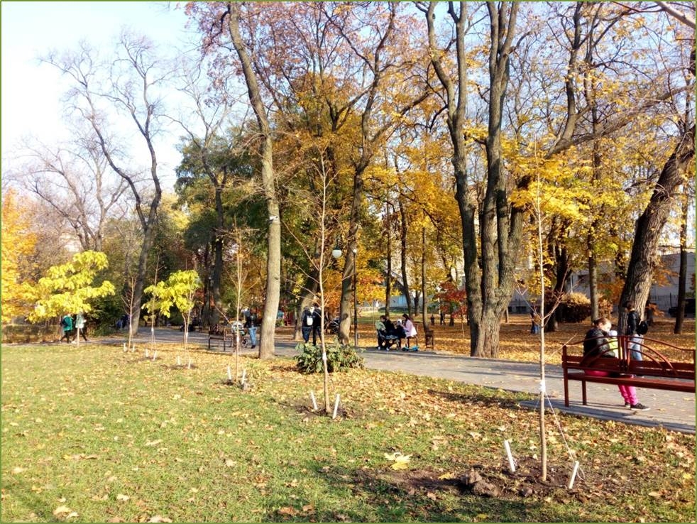 Руководитель управления экологии Наталья Ветер выступила                           с докладом о проведении озеленения на территории городского округа в 2018 году и планах на 2019 год Руководитель управления экологии Наталья Ветер выступила                           с докладом о проведении озеленения на территории городского округа в 2018 году и планах на 2019 год