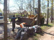 berezovaya_rowa_1