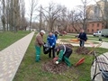 Продолжается уборка парков и скверов города Продолжается уборка парков и скверов города