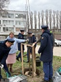 В Воронеже состоялась одна из первых высадок деревьев в этом году В Воронеже состоялась одна из первых высадок деревьев в этом году
