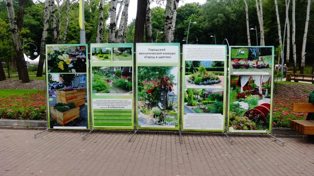 Состоялось награждение победителей конкурса «Город в цветах» Состоялось награждение победителей конкурса «Город в цветах»