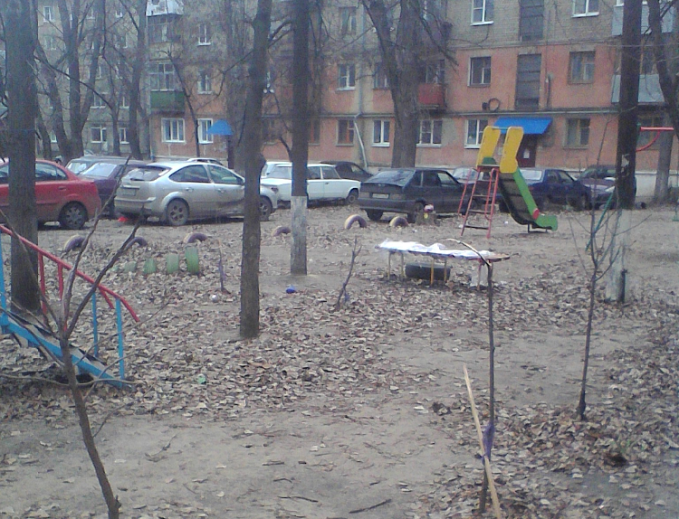Повреждение саженцев Повреждение саженцев