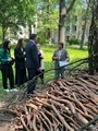 Руководитель управления экологии Галина Воробьева оценила работы участников фестиваля «Ленд-Арт Воронеж 2023»  Руководитель управления экологии Галина Воробьева оценила работы участников фестиваля «Ленд-Арт Воронеж 2023»