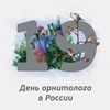 День орнитолога в России День орнитолога в России