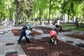 В Воронеже начались работы по высадке однолетних растений В Воронеже начались работы по высадке однолетних растений