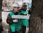 В Воронеже проводится инструментальное обследование зеленых насаждений В Воронеже проводится инструментальное обследование зеленых насаждений
