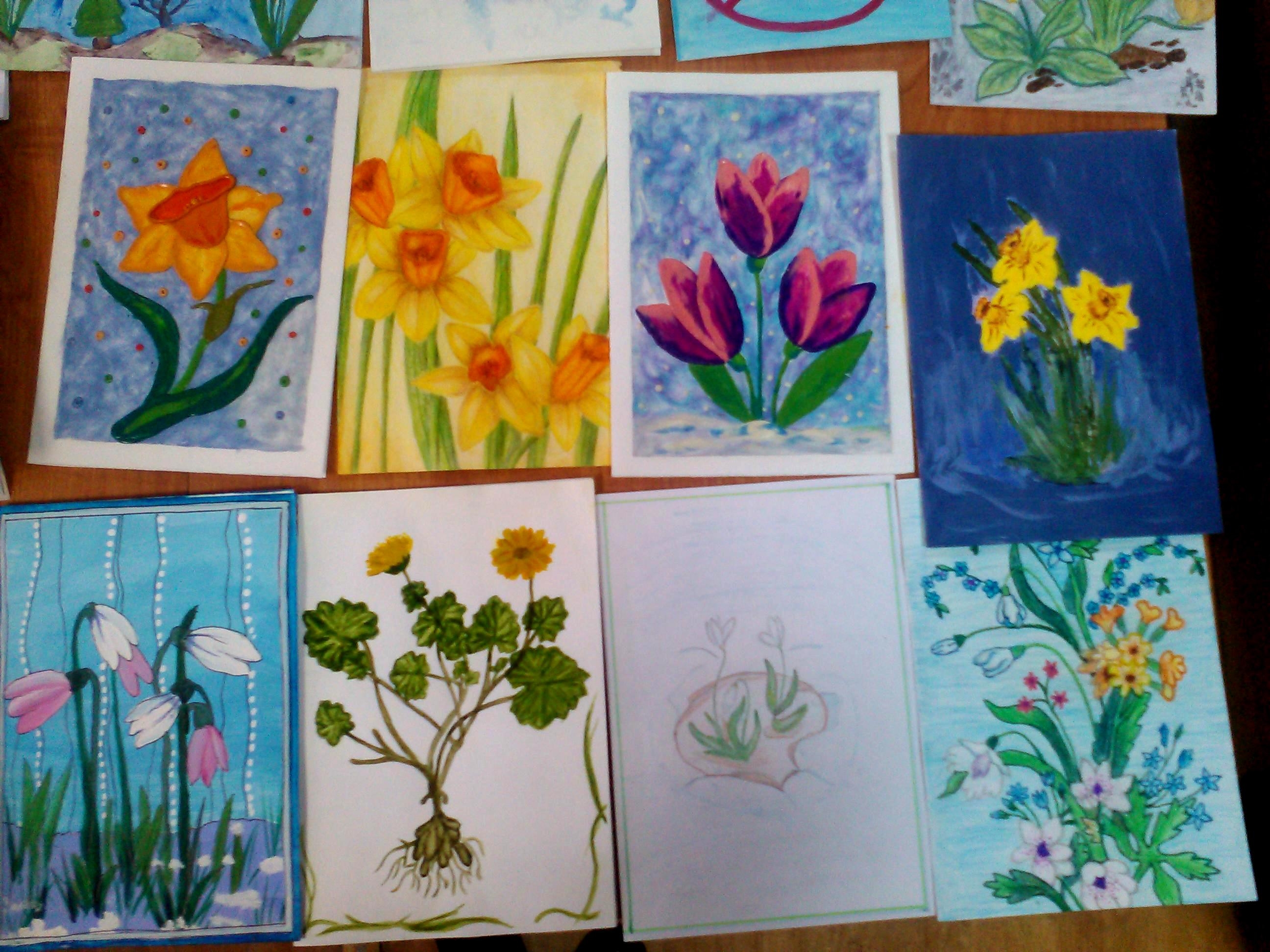 Эколого-просветительская акция «Первоцвет» Эколого-просветительская акция «Первоцвет»