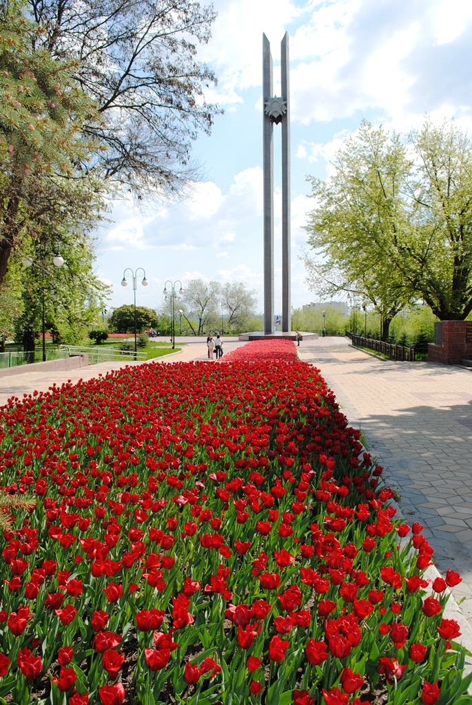 Начато устройство городских цветников Начато устройство городских цветников