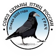 Птицей 2025 года в России стал грач