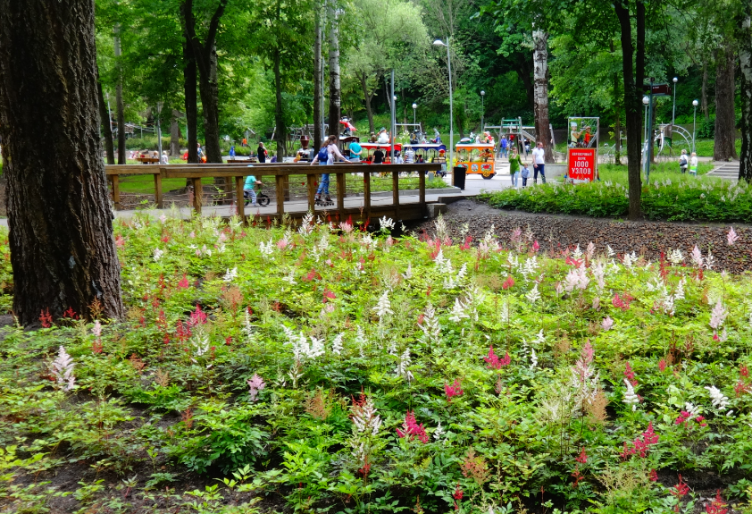 В Воронежском центральном парке организован бесплатный доступ в сеть Интернет