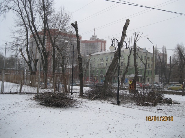 В сквере «Комсомольский» ведутся уходные работы за зелеными насаждениями В сквере «Комсомольский» ведутся уходные работы за зелеными насаждениями