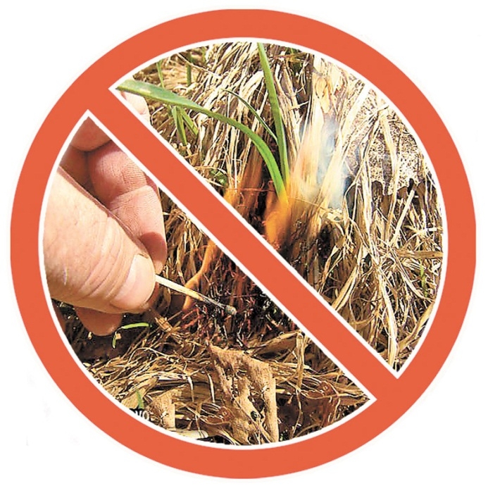 Не допускайте сжигания сухой травы! Не допускайте сжигания сухой травы!