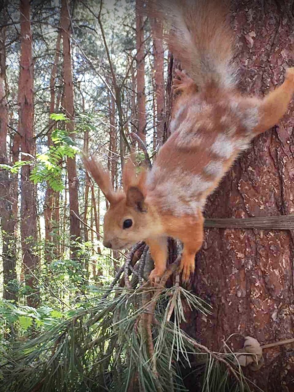 29 апреля 2017 г. состоялся общегородской субботник 29 апреля 2017 г. состоялся общегородской субботник