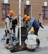Еще 48 клёнов-крупномеров появятся на проспекте Революции на этой неделе Еще 48 клёнов-крупномеров появятся на проспекте Революции на этой неделе