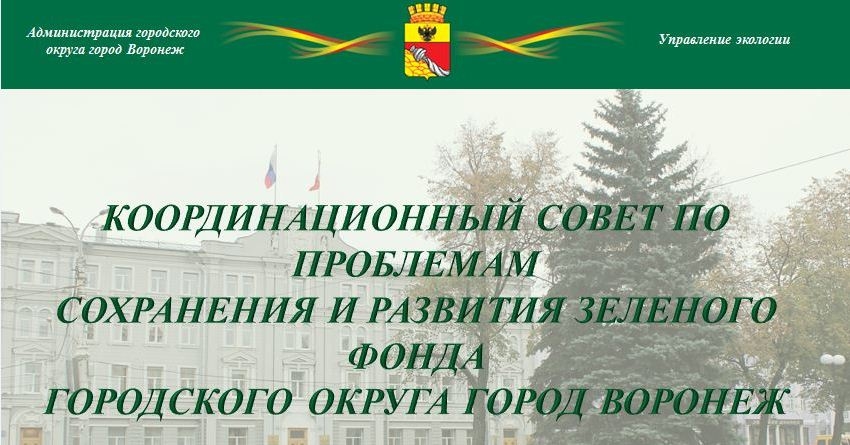 Развитие озеленённых территорий Воронежа - решения координационного совета Развитие озеленённых территорий Воронежа - решения координационного совета