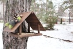 Стартовала акция "Покорми птиц зимой"