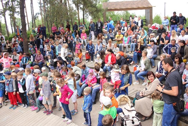 Воронежские парки приглашают партнеров! Воронежские парки приглашают партнеров!