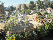 dsc02883.jpg
