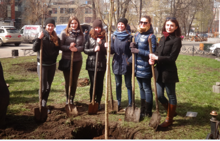 В сквере у Дома офицеров под координацией управления экологии завершена компенсационная посадка В сквере у Дома офицеров под координацией управления экологии завершена компенсационная посадка