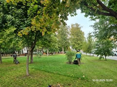 Продолжаются уходные работы в парках и скверах Воронежа