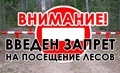 Внимание! С 10 августа в лесах Воронежской области возобновится ограничительный режим Внимание! С 10 августа в лесах Воронежской области возобновится ограничительный режим
