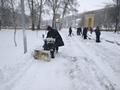 В городских парках и скверах проводится уборка снега В городских парках и скверах проводится уборка снега