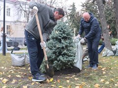 Продолжаются работы по озеленению Воронежа