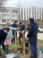 В Воронеже состоялась одна из первых высадок деревьев в этом году