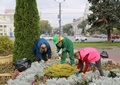 Продолжаются уходные работы за цветниками в городских парках и скверах Продолжаются уходные работы за цветниками в городских парках и скверах
