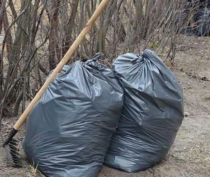 Начался месячник благоустройства Начался месячник благоустройства