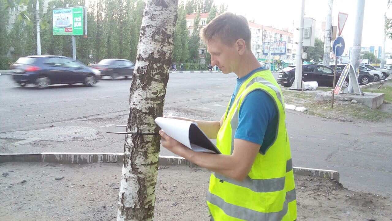 В Воронеже начата инвентаризация зеленых насаждений