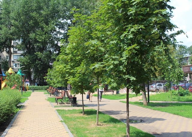 О сохранении и восполнении зеленого фонда Воронежа О сохранении и восполнении зеленого фонда Воронежа