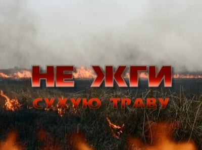 «Сельхозпалы – под контроль! Сохраняя леса, сохраняем Россию!» «Сельхозпалы – под контроль! Сохраняя леса, сохраняем Россию!»