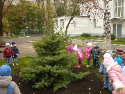 p10608521.jpg