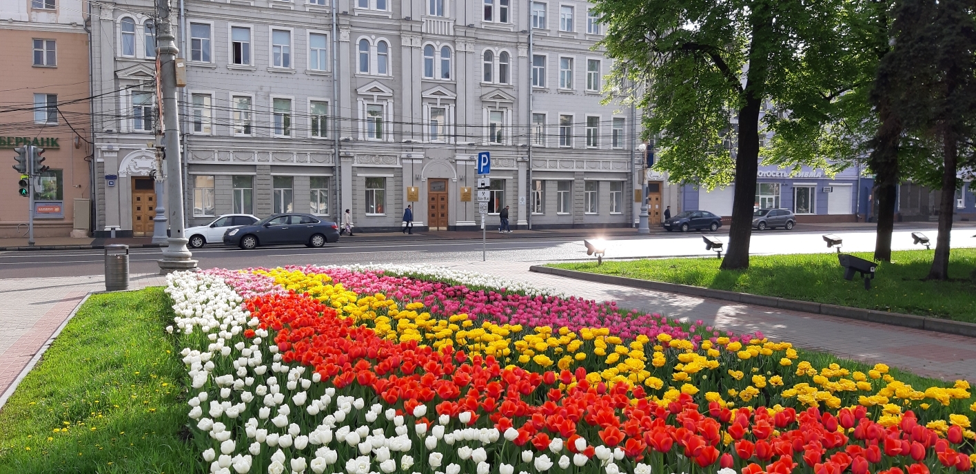 Дан старт городскому конкурсу сочинений «Город и Экология» Дан старт городскому конкурсу сочинений «Город и Экология»